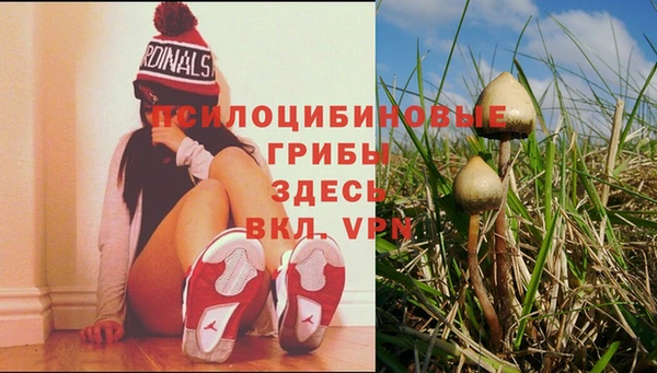 каннабис Верея