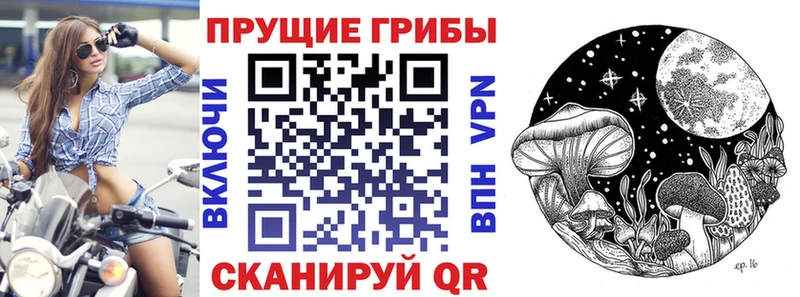 это как зайти  Омутнинск  Галлюциногенные грибы прущие грибы 